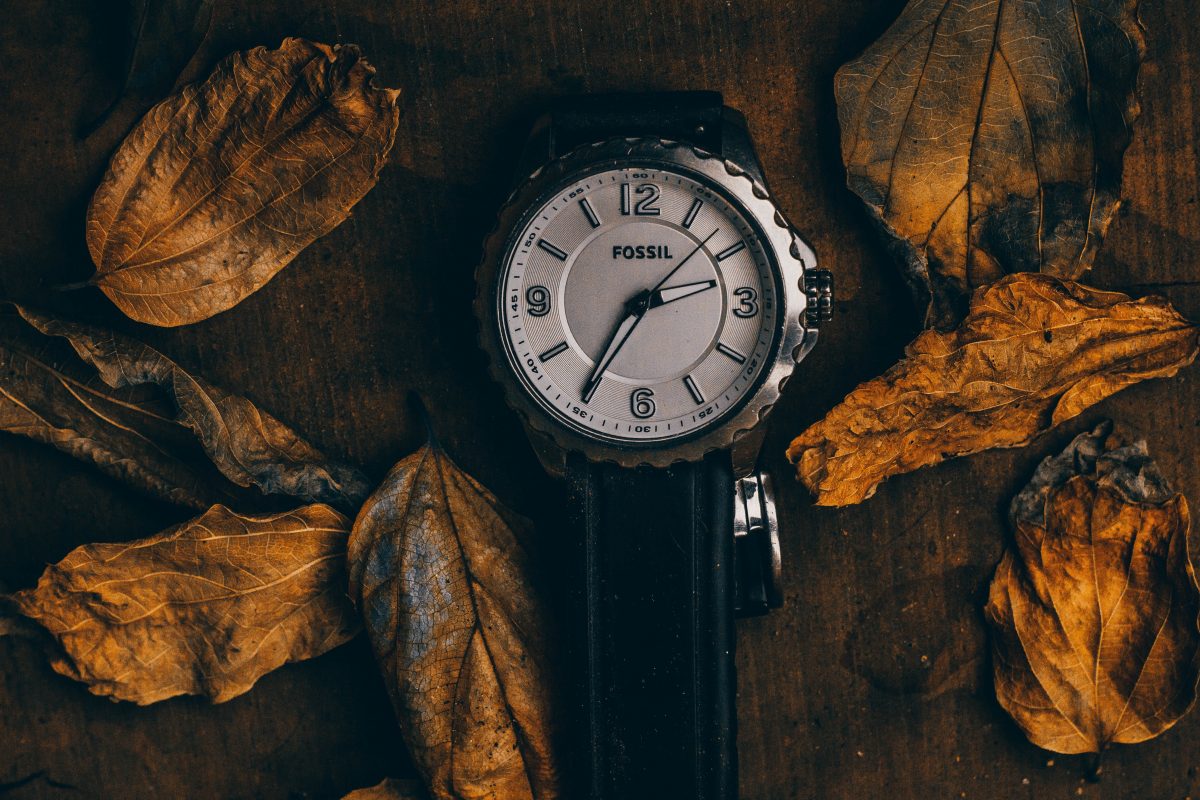 Fossil Watches, Best Affordable Watches