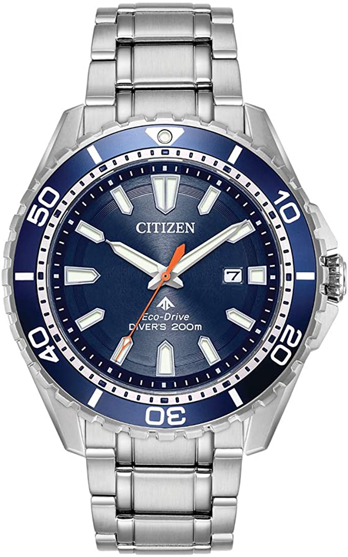 citizen promaster diver