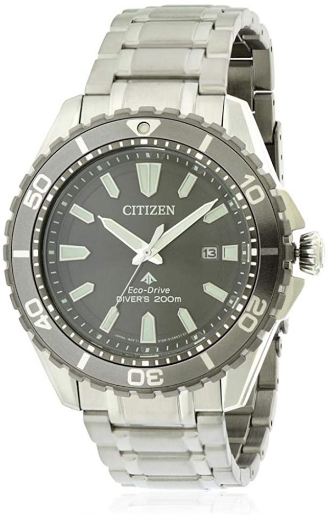 citizen pro master diver